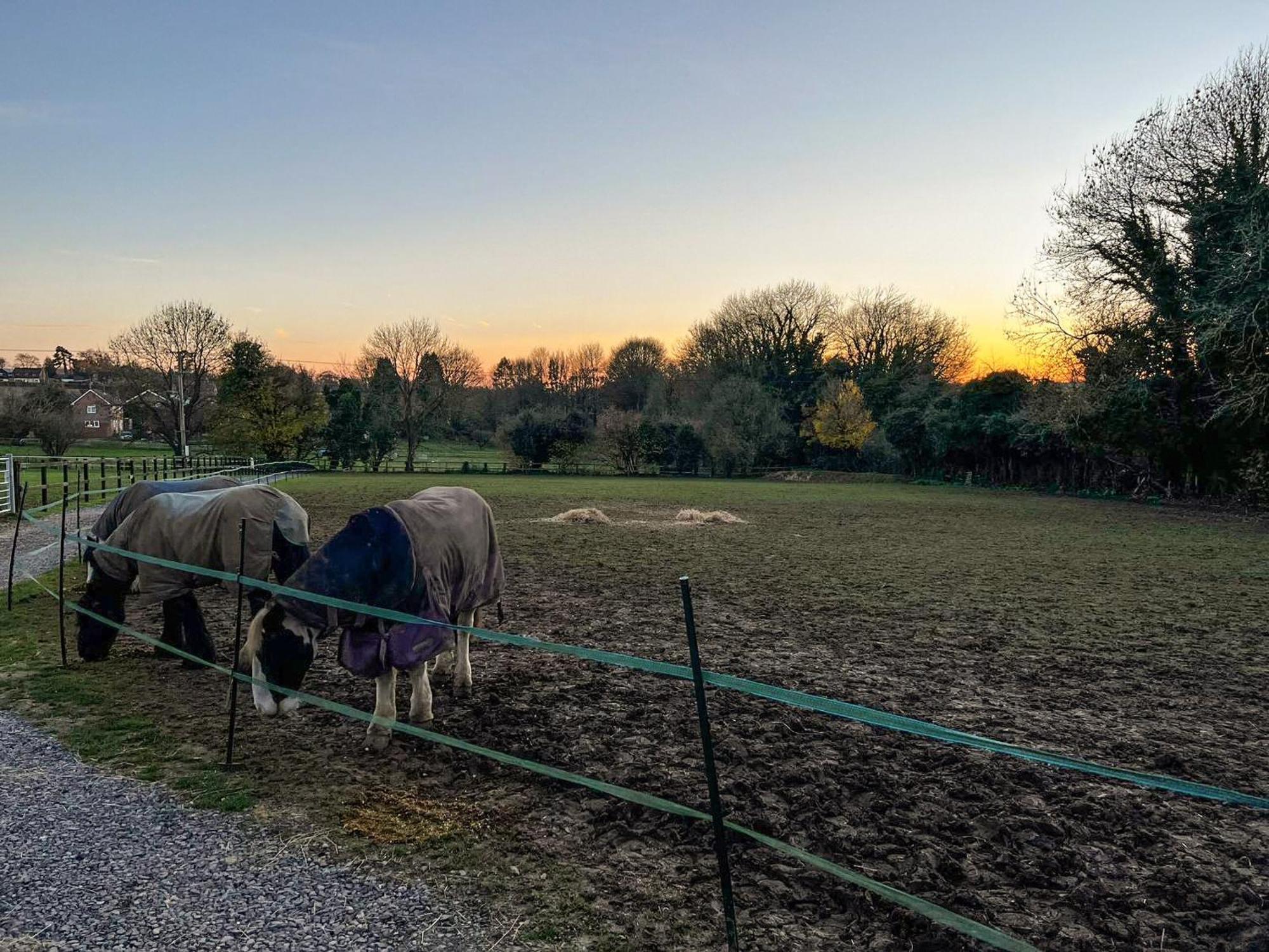 South Downs Lodge Droxford Luaran gambar